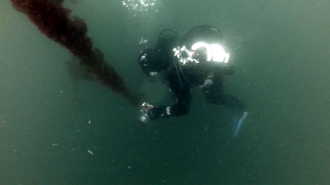 Diving Strytan Iceland