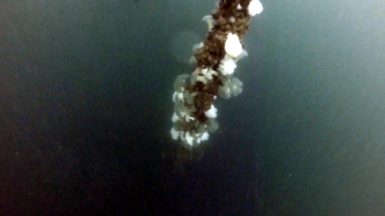 Diving Strytan Iceland