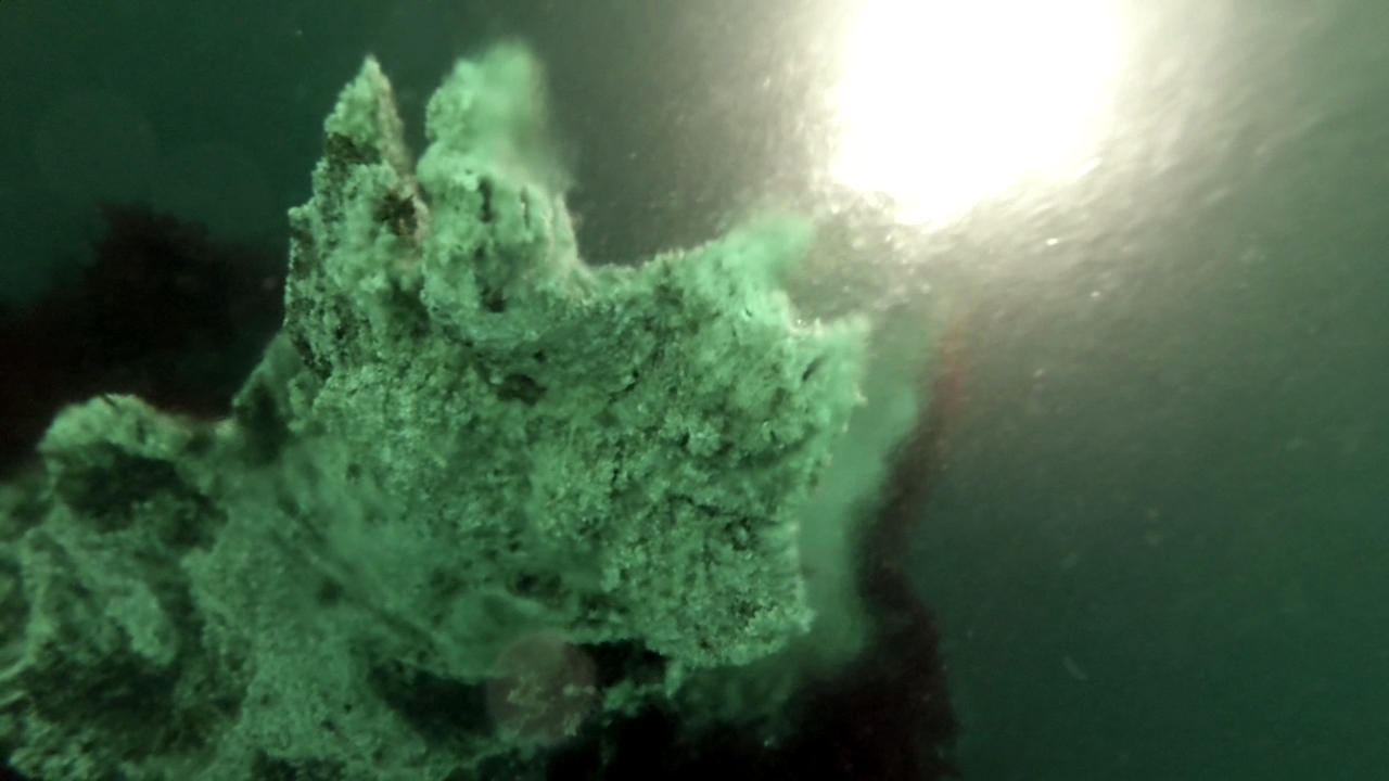 Diving Strytan Iceland