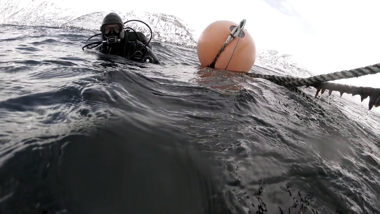 Diving Strytan Iceland