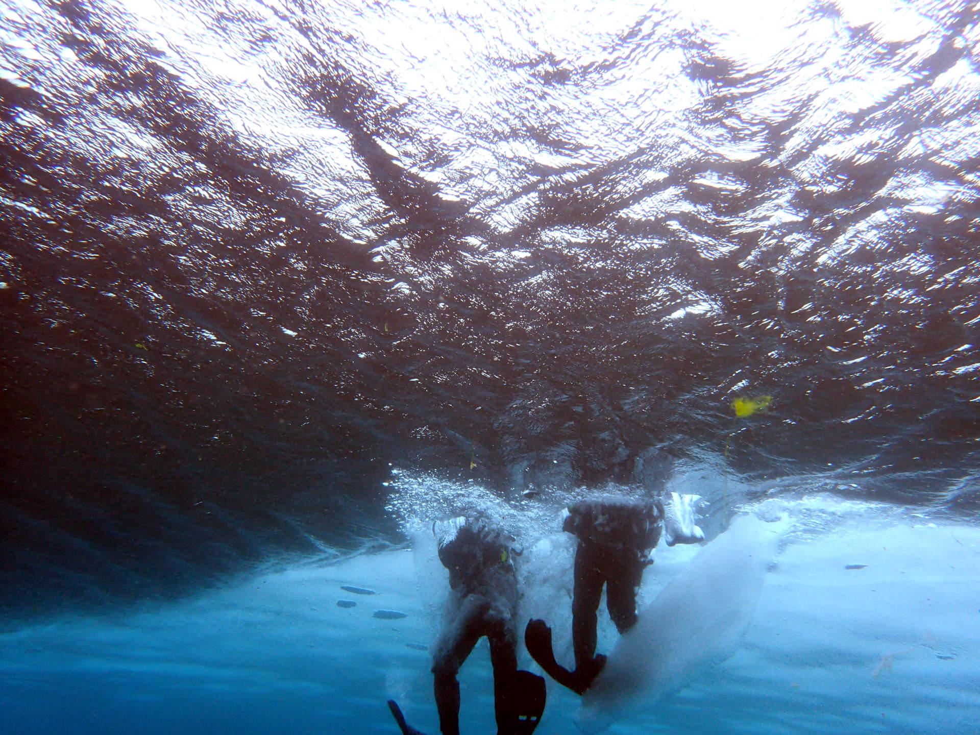 Diving in Davidsgjá in Iceland