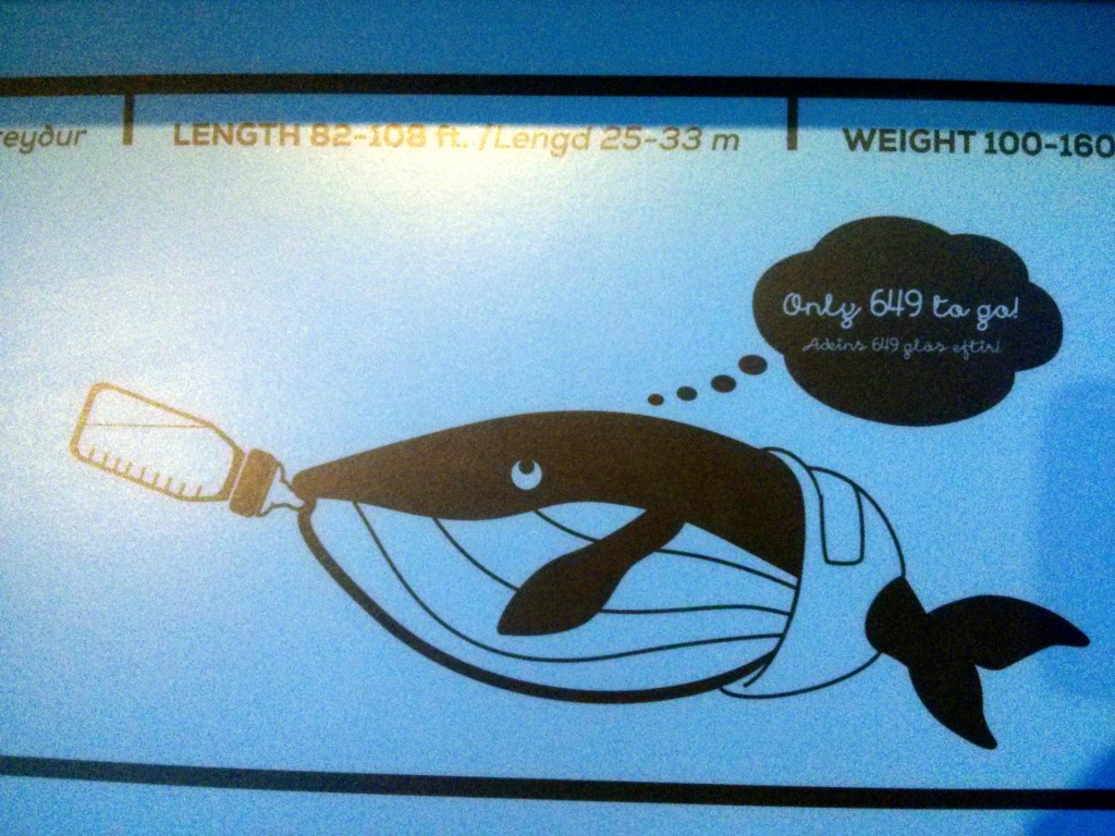 Baby whales drink 650L of milk a day - roughly as much Coca-Cola as an Icelander ;)