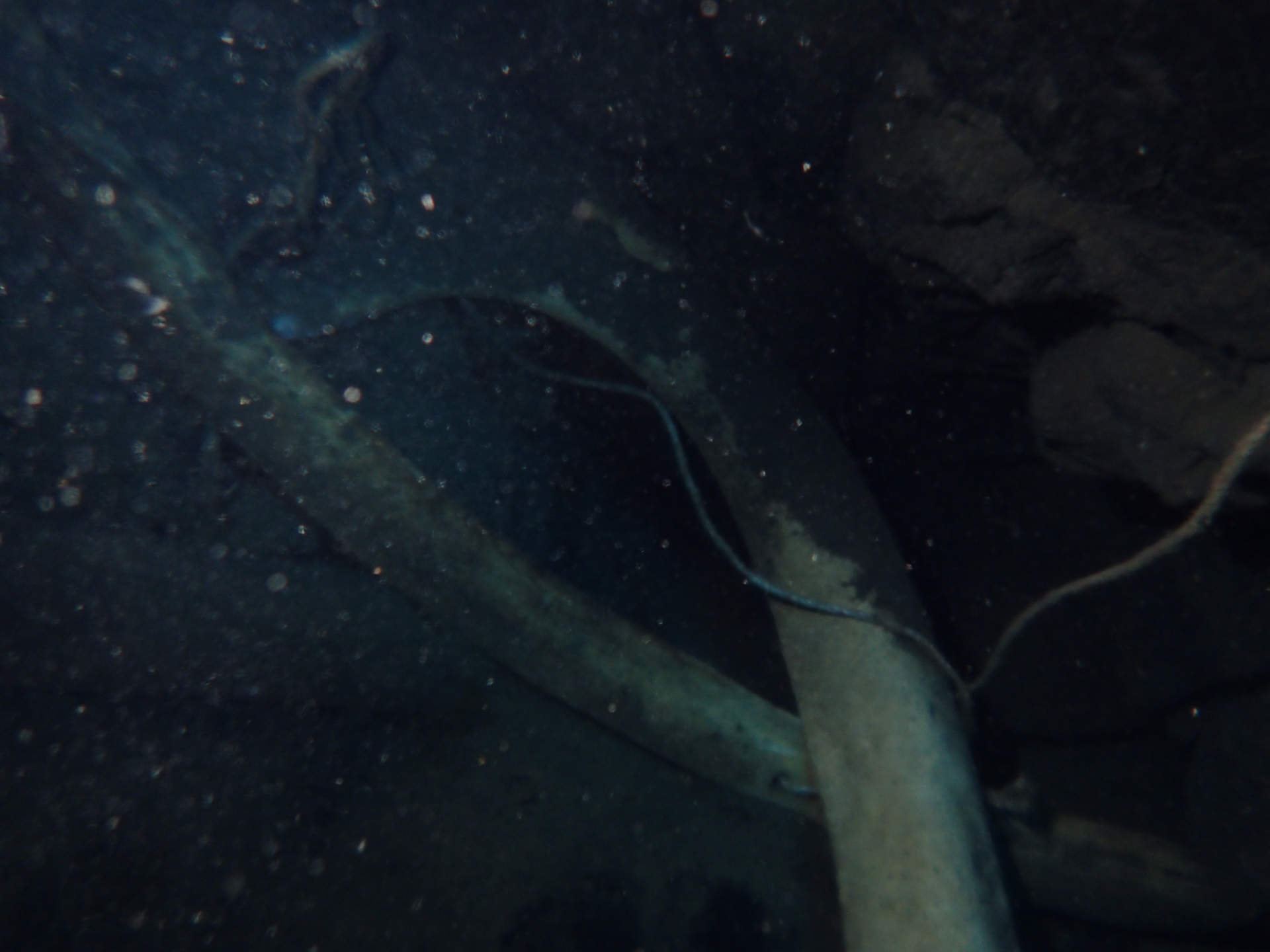 Diving in Bjarnagjá in Iceland