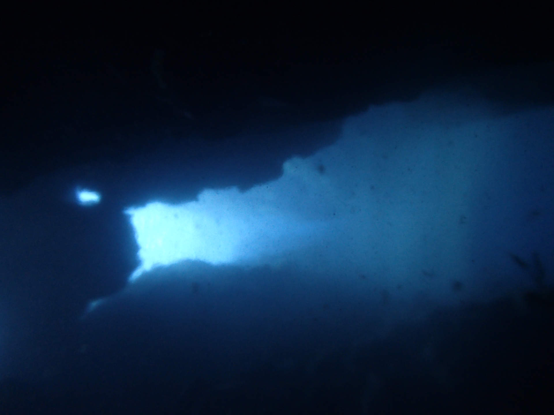 Diving in Bjarnagjá in Iceland