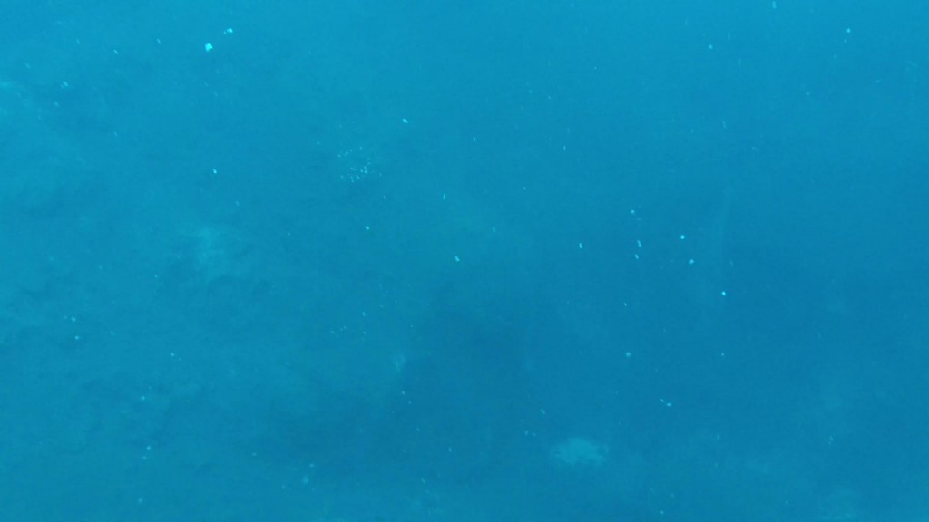 Diving & snorkeling in the geothermal lake Kleifarvatn in Iceland