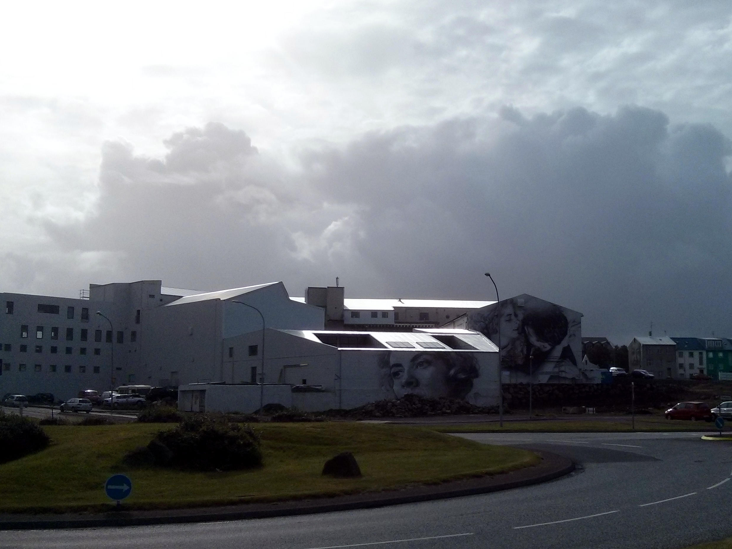 One week in Iceland is enough to visit the beautiful corners of Reykjavík's harbour