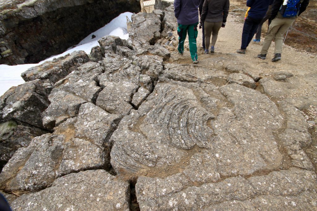 Pahoehoe lava at the entrance to the Víðgelmir lava cave in Iceland